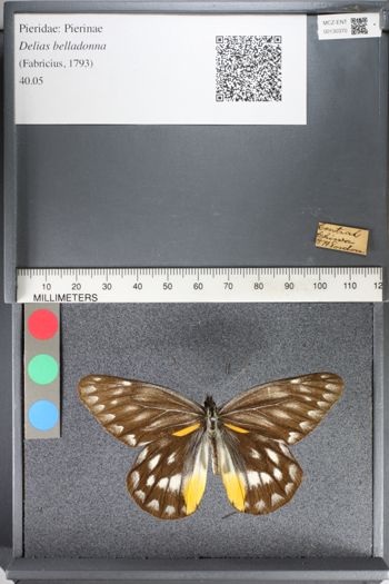 Media type: image;   Entomology 130370